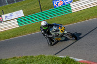 PJ-Motorsport-Photography-2018;enduro-digital-images;event-digital-images;eventdigitalimages;mallory-park;mallory-park-photographs;mallory-park-trackday;mallory-park-trackday-photographs;no-limits-trackdays;peter-wileman-photography;racing-digital-images;trackday-digital-images;trackday-photos